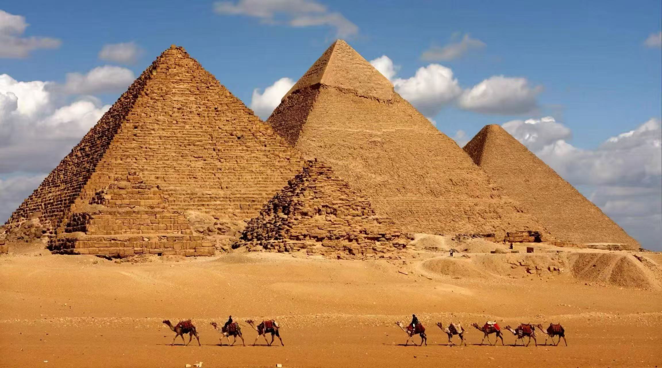 Traveling across distant lands,  | Our Participation in HVAC-R Egypt Expo Secures Key Cooperation Results